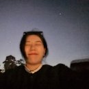 호주 시드니 블루마운틴 선셋 별보기 투어 + 페더데일동물원 투어 대한관광여행사 솔직 후기