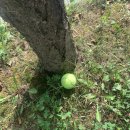 (주)무지개반사 이미지