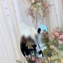 더 파티움 안양 본식 후기 (5층 브리에홀, 홀패키지, 부케, 사회자)