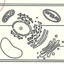 당곡고등학교 이미지
