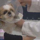 재진축산 이미지