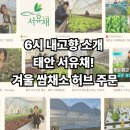 영수농약 | “방송 타고 화제 된 태안 쌈채소” KBS 6시 내고향에 나온 혁신 농장과 소비자 반응