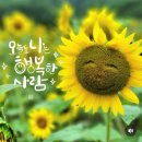 결국은 해피엔딩 💕 이미지