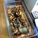 지하식당 티스토리