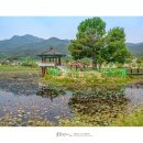 연꽃방죽체육공원 이미지