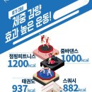 점핑썬 이미지