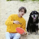 예쁜걸 Daum카페