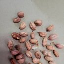 오리정주유소 이미지