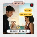 음성메시지가 도착했습니다 : 딱 로코의 정석 넷플릭스 영화 솔직후기