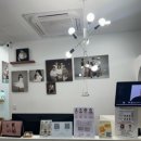 앙꼬사진관 | 우리 강아지 인생샷 남긴 날, 앙꼬사진관 프로필 촬영 후기