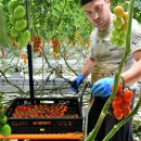 채식농장 이미지