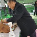 태양광고사 이미지