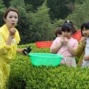 회천서초등학교 이미지