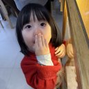 샐리 컵케이크