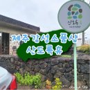 제주편백휴낭 | [성산] 제주를 기억하기 위한 감성 선물 소품샵_&#39;산도록휴&#39;