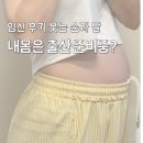 코끼리다리 | 임신 후기 코끼리 다리? 살찐게 아닌 몸이 출산을 준비하는 과정