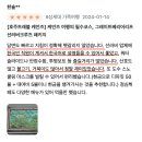 1056 | 호주 케언즈 그레이트 베리어 리프 - 크루즈 투어 3사 비교 분석 총정리!