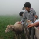 윤주목장 이미지