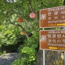 망경농장