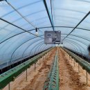 (주)와이즈팜 이미지