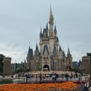 씨스페이스(숭의스타점) | 일본🇯🇵 도쿄 디즈니랜드 오픈런 방문 후기 및 DPA&amp;40주년 패스권 사용방법