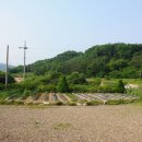 승철농장 Daum카페