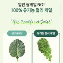 케일 - 양천구 공항대로 594 | 케일