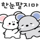 좌동순환로 이미지