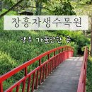 양주 여행, 장흥자생수목원 10월 방문 후기