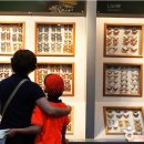 무주반딧불투어 이미지