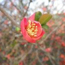 동부꽃농원 이미지