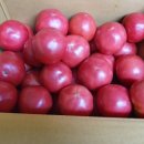 송씨네농장 이미지