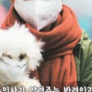 투개더 펫 이미지