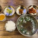 오늘N 대전 유성구 1일 30그릇 한정 &#39;팔도비빔밥&#39;