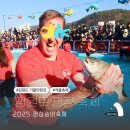 평창송어축제 이미지