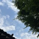 스컹크웍스 네이버블로그