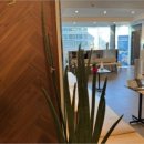 내일정신건강의학과의원 이미지