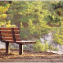 두드리네 이미지