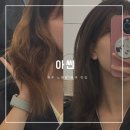 제주아씨 | 제주 노형동 염색 아씬 시아원장님께 퍼스널헤어 톤다운 염색 후기