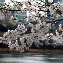 호수언저리 이미지