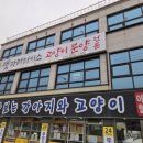 캣파라다이스 일산점 이미지