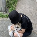 대신양은 이미지