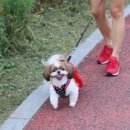 옆집언니 이미지