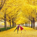 복*서 이미지