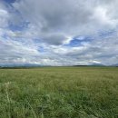 아소농장 이미지