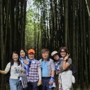 창녕 남지 개비리 | &lt;창녕 남지개비리 둘레길 걷기&gt;(250920)