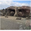 ㈜한국교통(마을버스) | 후쿠오카 사파리 버스 투어 예약 벳푸 아프리칸 사파리 후기