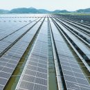 대정의원 이미지