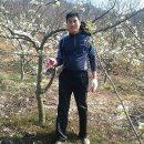 배나무농장 이미지