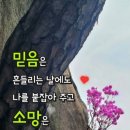 우정행정사 네이버블로그